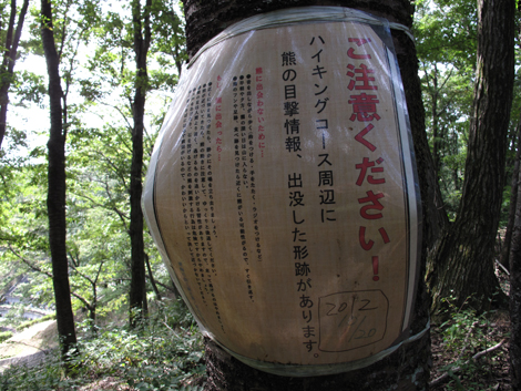 20161007hike (47)